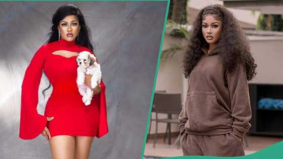 BBN Phyna says she is tired of humans, opts to live with animals: "Make she open animal farm"