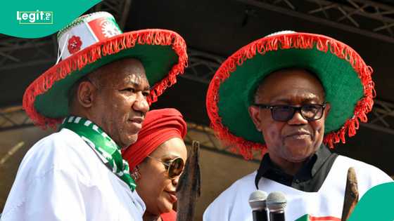 Peter Obi's ex-running mate mentions plan for 2027, slams ADC: “They are deceiving us”