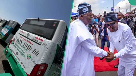 “Kudos to PBAT, Wike”: Nigerians react as CNG buses begin operations in Abuja with free rides