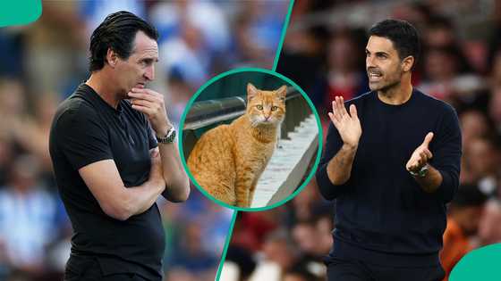 Premier League: Mysterious cat predicts result of Aston Villa vs Arsenal