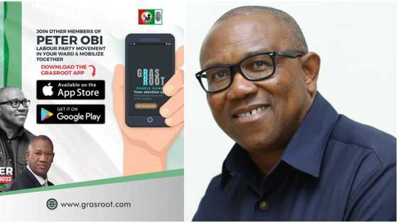 Young Nigerian launches mobile app to mobilise support for prominent presidential candidate