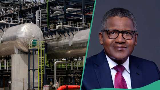 Dangote speaks on stationing his Billion Dollar refinery in Ogun State