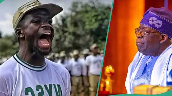 77k allawee: Nigerians react as Tinubu's govt drops October pay, details emerge