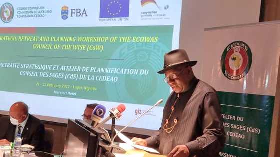 2023: Goodluck Jonathan describes ongoing party primaries as a mess