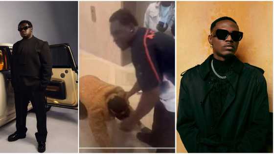 "He get respect gan": Video of Spryo prostrating flat on floor to greet Wande Coal goes viral, fans react