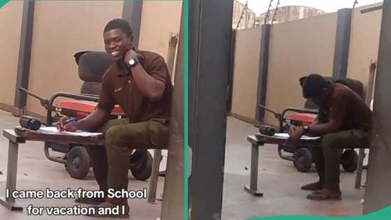 Touching video shows moment man returned from school and found best friend working as security man