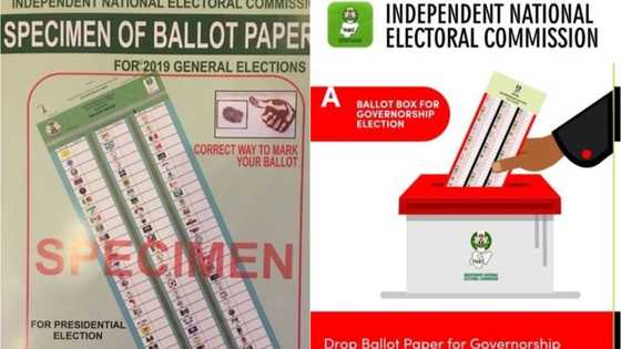 Countdown to 2019 election: What Nigerians want from INEC - Poll (photo)