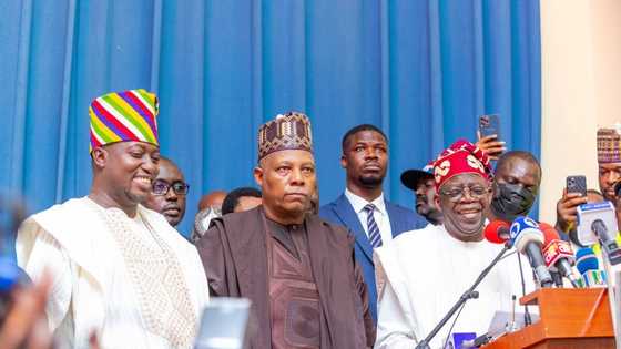 Kishin-kishin: Gwamnan Arewa Zai Jagoranci Yakin zaben Tinubu/Shettima