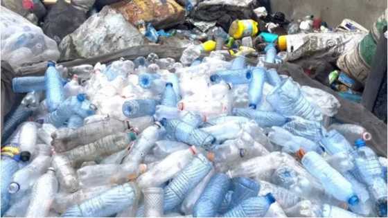 How to convert trash to money in Nigeria as poverty, unemployment surge