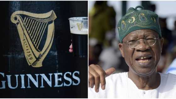 FG's new policy to compel Guinness, Gulder, others to invest 30% budget into Nigerian league