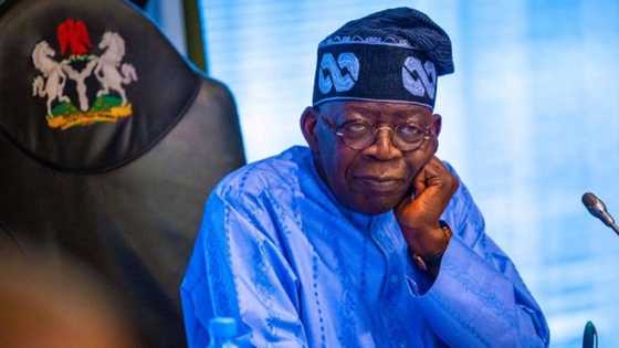 Shugaba Tinubu Ya Tsige Babban Hadimi Daga Muƙaminsa, Ya Umarci Ya Dawo Gida Najeriya