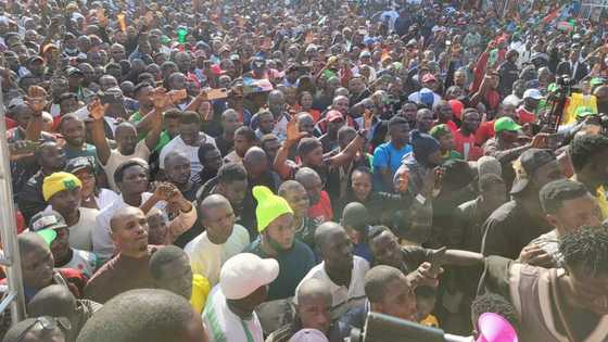 An Samu Rashin Jituwa a Jam’iyyar LP, Jagorori Za Suyi Fito na Fito da Peter Obi