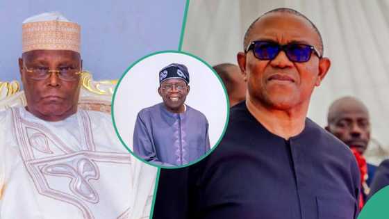 Matsala ga Tinubu yayin da Atiku Abubakar ya gana da Peter Obi, bayanai sun fito