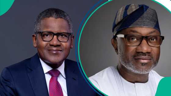 More billionaires join Dangote, Adenuga as report shows new list in 2025