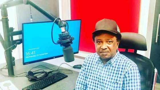 I’ll clean up El-Rufai’s mess: Shehu Sani joins Kaduna governorship race, reveals what he'll do to APC