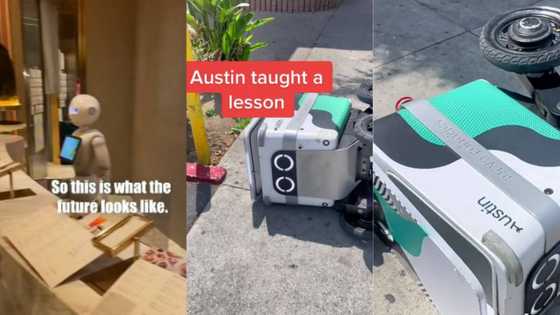 "Sorry for what they did to you": Robot gets attacked and looted on its way to deliver food, video goes viral