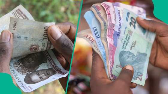 What low-income earners can do as PiggyVest survey shows millions of Nigerians have no savings