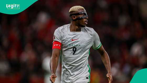 Former Olympique Marseille star calls Super Eagles forward Victor Osimhen Africa's best player