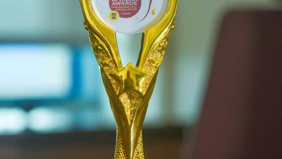 Terra Cube wins ADVAN’s biggest award – Brand of the Year