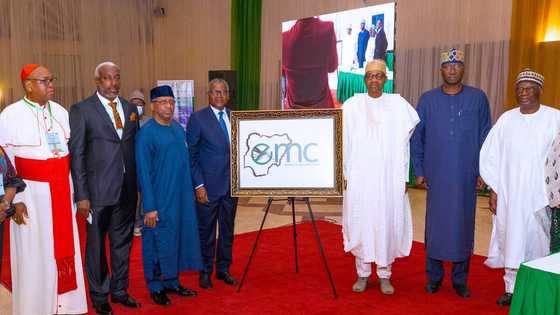 NEMC: Aliko Dangote becomes head of Nigeria End Malaria Council