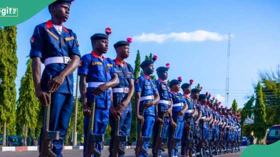 7 missing as Boko Haram attacks NSCDC convoy after conducting patrol of national grid installation