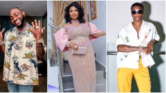 Wizkid, Davido, Nosa Rex, other Nigerian celebrities who have splurged millions on expensive purchases in 2022