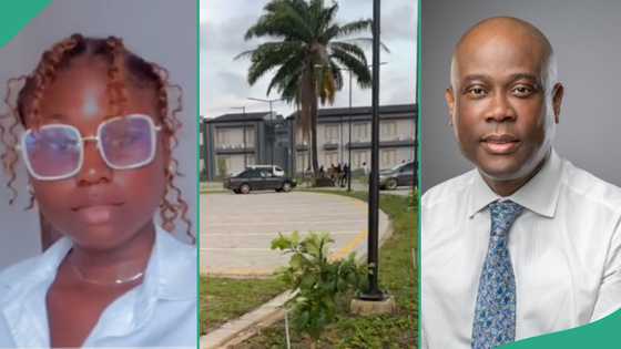 Wigwe University student shares video of beautiful school built by late Access Bank CEO