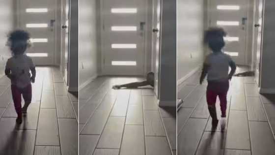 “I Can’t Risk My Life”: Girl Abandons Dad Who Cried for Help in Video, People React