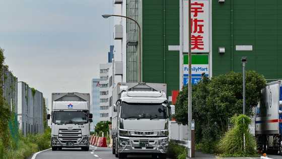 New rules drive Japanese trucking sector to the brink