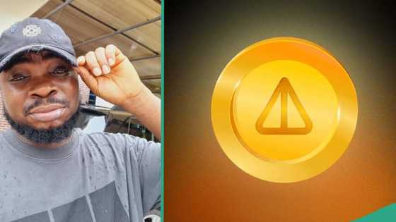Notcoin: Nigerian man makes N9 million from trending crypto airdrop, generates huge buzz