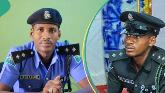 Muje zuwa: 'Yan sanda sun kame wadanda ake zargi da shiga gida tare da kashe dattijuwa a Gombe