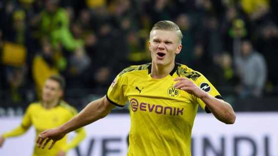 Incredible Haaland scores 7 goals in just 3 games with brace against Union Berlin after snubbing Man United (video)