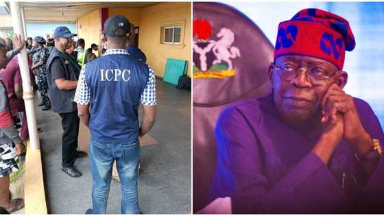 Just in: ICPC speaks on files implicating President Bola Tinubu, Close aides