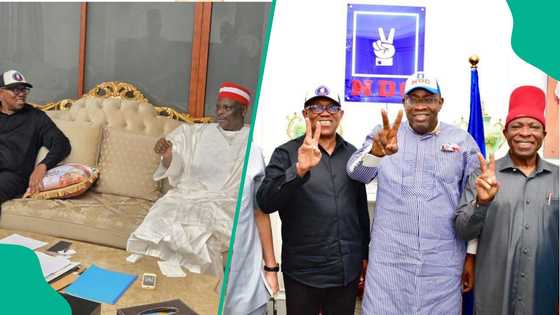 Soke rajista: Daga jin hukuncin kotu, na hannun daman jagoran NDC ya ruga APC