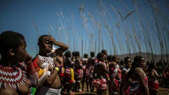 S.African virgins to dance for new Zulu king amid succession row