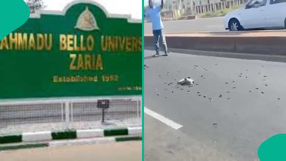 An shiga fargaba bayan zubar da harsahi a kofar jami'ar ABU Zariya