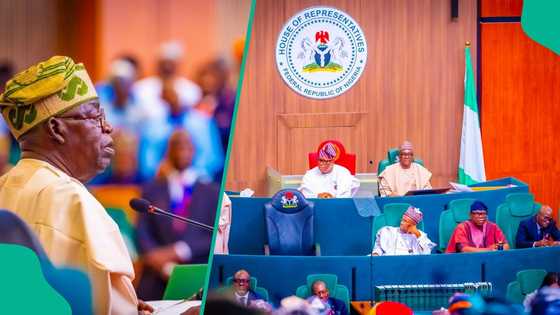 NASS workers demand federal character rule after Tinubu ADC promotion U-turn