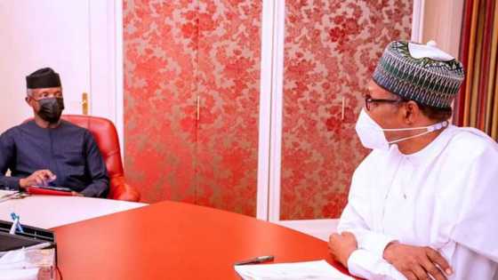 Gaba da gabanta: Buhari ya dawo da Darektocin Gwamnati 11 da aka yi wa ritaya da karfi da yaji