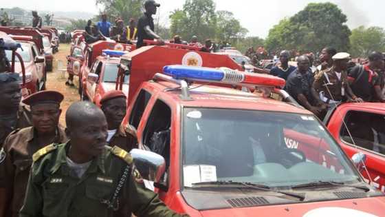 Babu Dan Ta'adda Ko Daya Daga Cikin Yan Arewa 170 Da Muka Kama - Amotekun