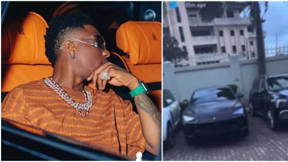 "If I thief one I don dey alright": Wizkid's associate loses guard in video after seeing cars in his garage