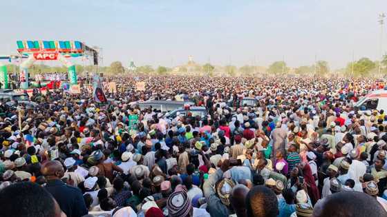 Huge defeat for PDP as APC wins all seats in Kebbi LG elections