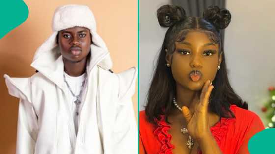 Peller warns King Mitchy over reckless TikTok stunt: "You wan comot food for our mouth?"