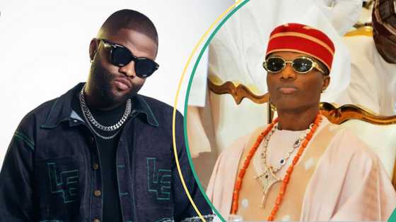Wizkid's fans drag Skales for preaching love and claiming he is for everyone: "Use ur brain"