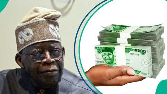 FG disburses N330bn: 7 million poor households to get cash transfers before year-end