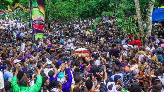Osun Osogbo Festival 2022: Goldberg Reinforces Love for Yoruba Tradition