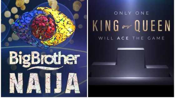 Who is the owner of Big Brother Naija? The people behind the show