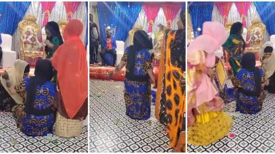 Lady in long dress steals show at wedding, twerks & whines waist like rubber in video, people rained her cash