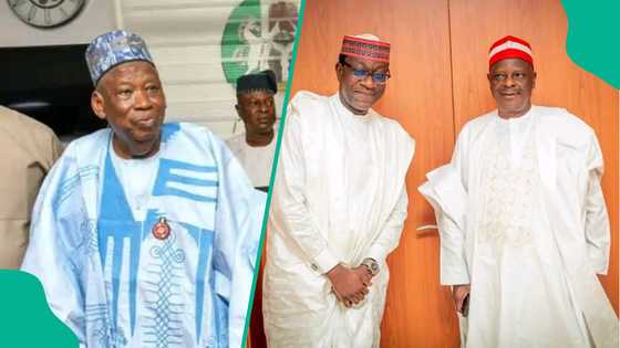 Sulhu alheri ne: Dan majalisar NNPP ya fara gangamin sasanta Kwankwaso da Ganduje