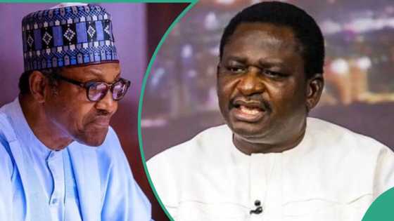 “Buhari had regrets as president”: Femi Adesina makes stunning revelation