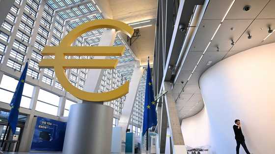 ECB pushes back against calls for looser bank rules